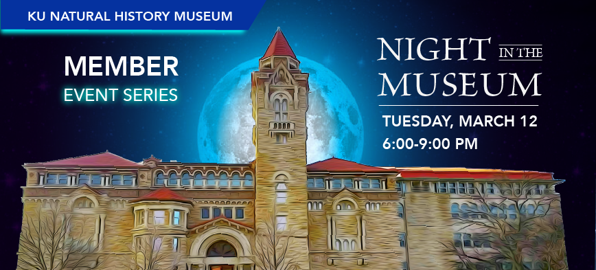 Night at the Museum flier for March 12 6-9 pm