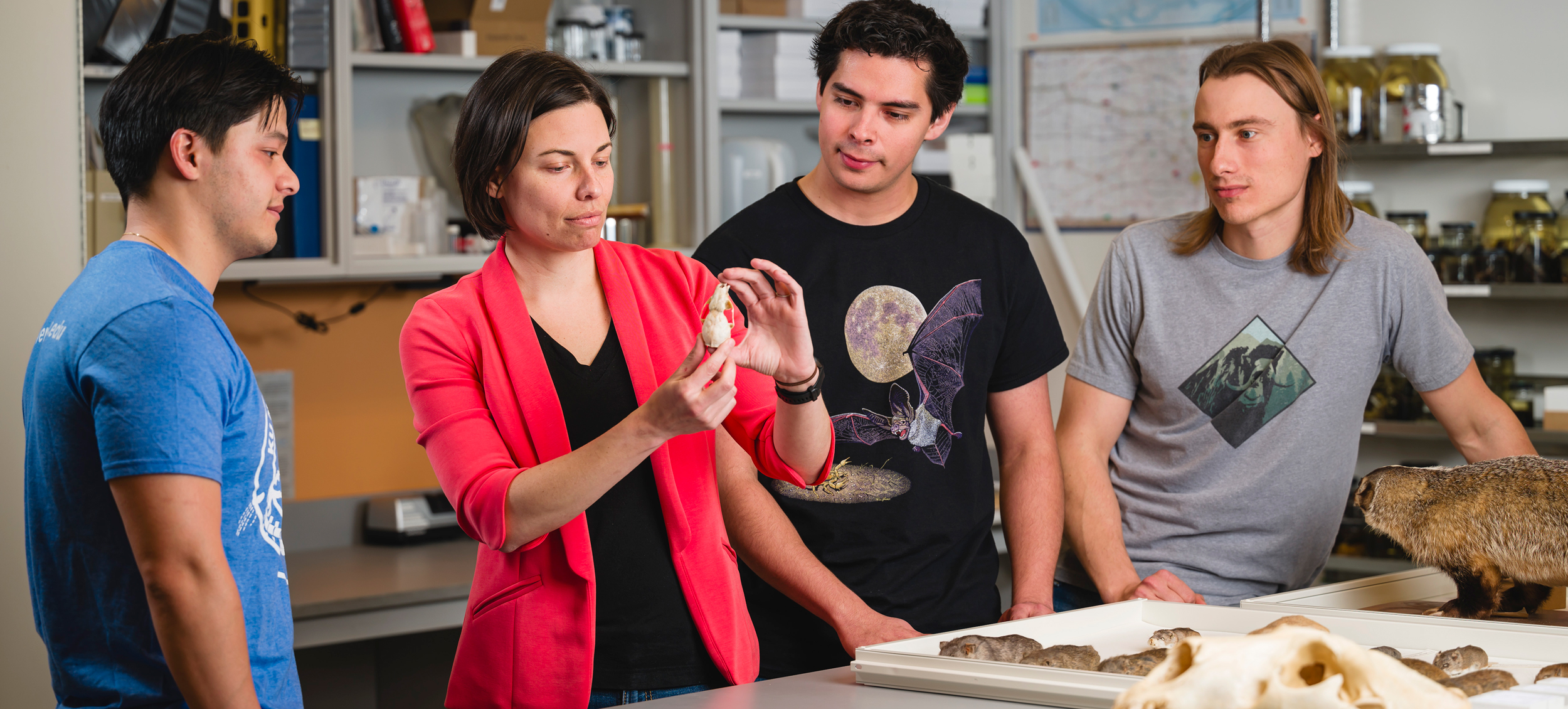 ""KUG38-Spring20234-f-hubofdiscovery-banner SPECIMEN DISCUSSION: Robert W. and Geraldine Wilson Assistant Professor Jocelyn Colella shows student researchers (from left) Alex Hey, Daniel Ibañez IV and Ben Wiens what types of information the skull of a small mammal can reveal.