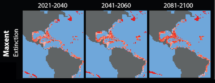 "A heat map showing modeled projections of where extinctions of populations of marine mollusks will be concentrated in the face of anticipated climate change over the next ~ 80 years; hotter (brighter) colors signify greater extinction risk. These populations include important food sources for humans or fish that humans depend on. Credit: Erin Saupe, Oxford University, Oxford, UK."