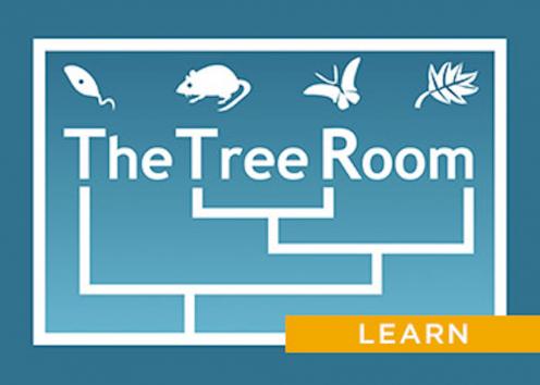 The Tree Room graphic loosely representing genetic family trees, with (across the top) a microbe, a mouse, a butterfly and a leaf